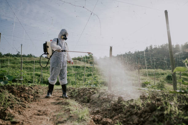 Best Pest Control for Businesses  in Pine Ridge, PA