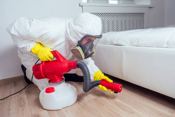Flea Control Services in Pine Ridge, PA