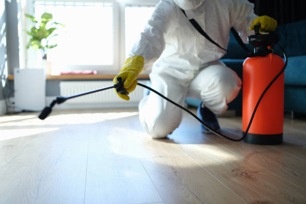 Best Wasp Removal Services  in Pine Ridge, PA