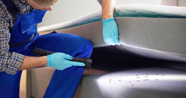 Best Rat Extermination Near Me  in Pine Ridge, PA